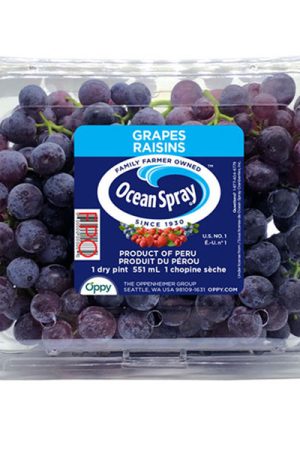 Orgain Organic Plant Based